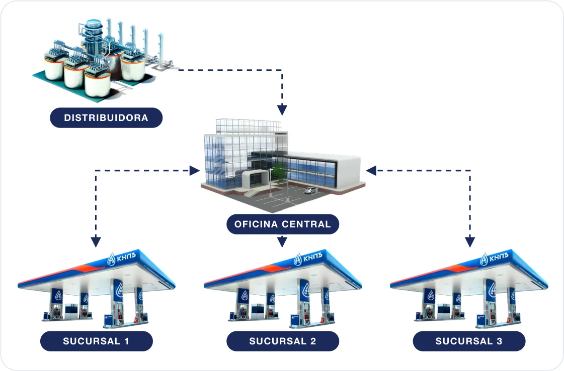 Distributor, head office and three branches connected