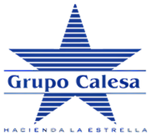Grupo Calesa